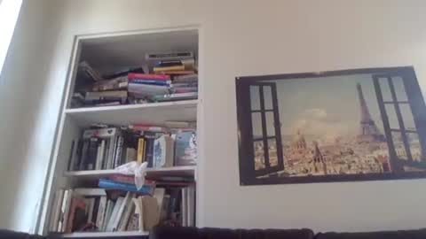 Snapshot of aestheticform chatting on 04.13.26 aesthetic form online show from 04.13.26