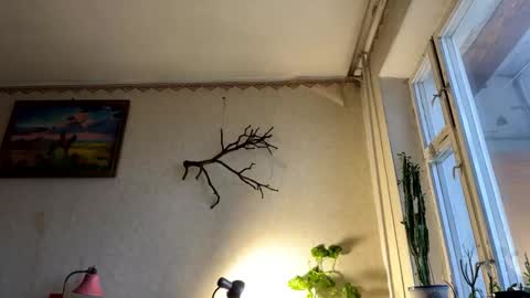 vegans taste better online show from 10.07.25