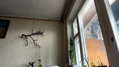 vegans taste better online show from 10.14.25