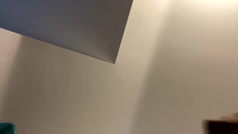 Snapshot of afuego11 chatting on 09.29.25 afuego11 online show from 09.29.25