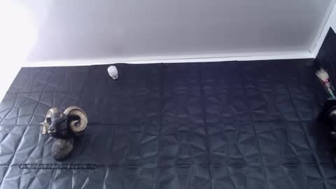  Miss Agata  online show from 02.24.26