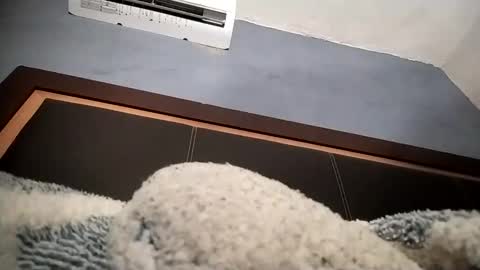 airoon91 online show from 11.16.25