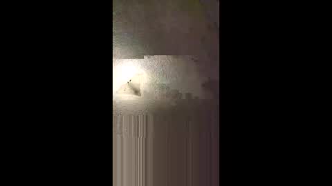 Snapshot of aj297914 chatting on 02.08.26 aj297914 online show from 02.08.26