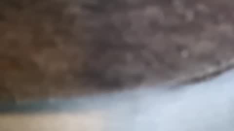 Snapshot of aj297914 chatting on 02.17.26 aj297914 online show from 02.17.26