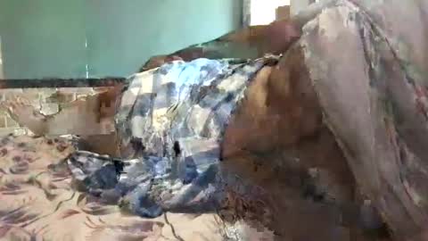 Snapshot of ajeeb_najeeb chatting on 12.16.24 BigHairyGuy online show from 12.16.24