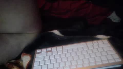 aken4it online show from 10.17.25