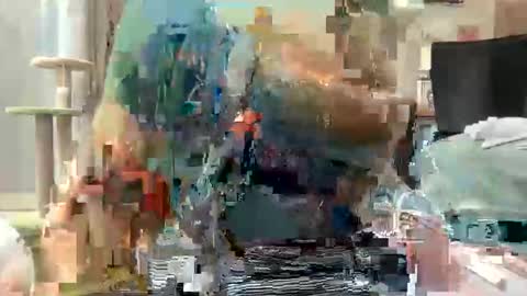 Akira Zay online show from 03.01.26