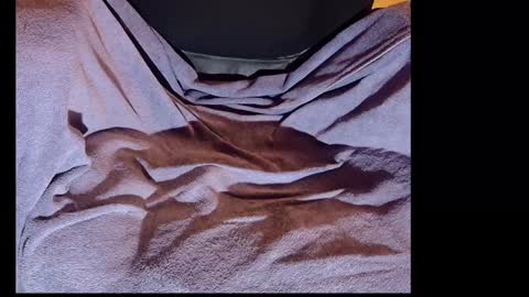 akiwi2 online show from 12.11.24