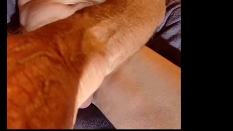 akiwi2 online show from 12.20.24