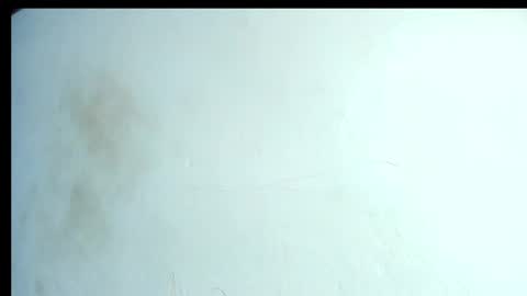 Snapshot of alahia66 chatting on 04.21.26 alahia66 online show from 04.21.26