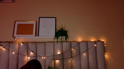  Alaia  online show from 11.14.25