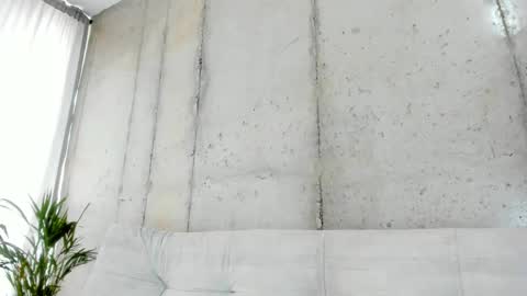 Alan greek online show from 02.14.25