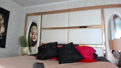 ---Alan--- online show from 02.15.26