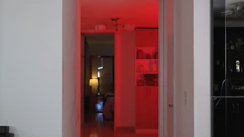 Alan Vidal online show from 10.28.25