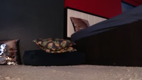 Alanna online show from 01.11.25