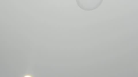 Alanna  online show from 03.23.26