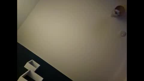 alannovak8 online show from 11.20.25