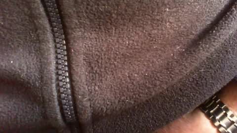 albert29 online show from 02.14.26