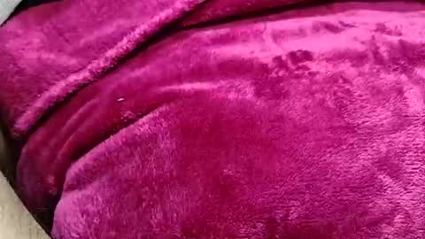 alessandrodmv online show from 06.09.26