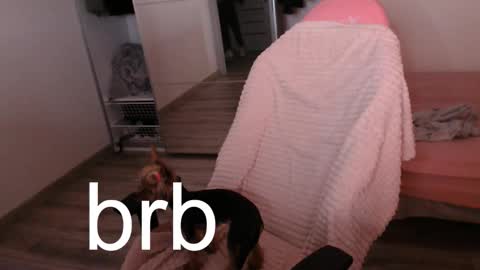 Snapshot of alex_gotcha chatting on 09.21.25 Alex online show from 09.21.25