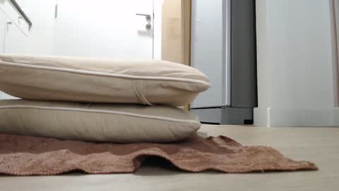 Nicha online show from 10.18.25