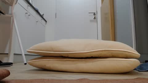 Nicha online show from 11.05.25