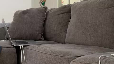 Snapshot of alex_ruiz_ chatting on 11.03.25 Alex online show from 11.03.25