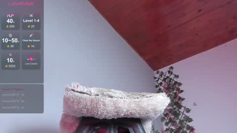 Dani online show from 01.10.25