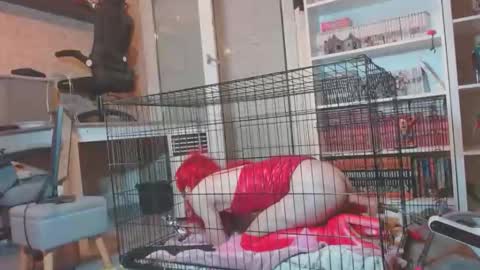 alexas_owned_bitch online show from 05.30.26