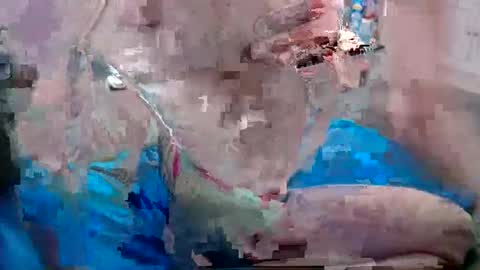 Snapshot of alexfresh84 chatting on 12.25.24 Doggystyle online show from 12.25.24