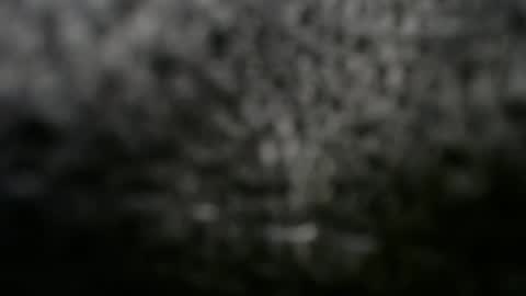 Snapshot of alexfresh84 chatting on 03.08.25 Doggystyle online show from 03.08.25