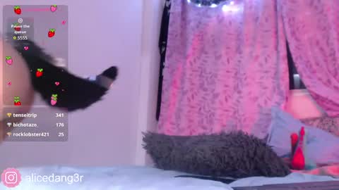 Snapshot of alicedang3r chatting on 12.15.24 Alice  online show from 12.15.24