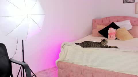  ALICEKIING online show from 02.21.26