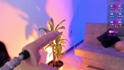 Alicee  online show from 01.16.26