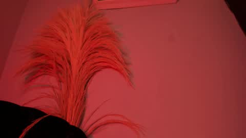 ALICE  online show from 10.25.25