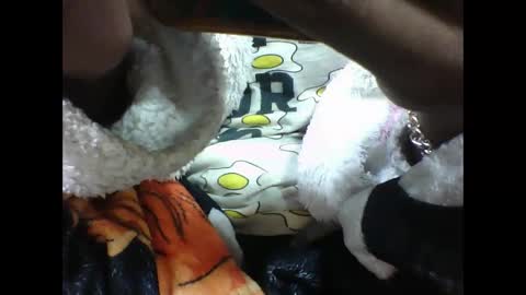 alicia253177 online show from 09.10.25