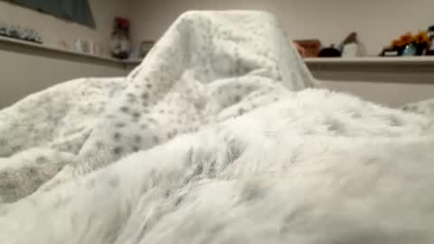 aliosis1 online show from 04.20.26