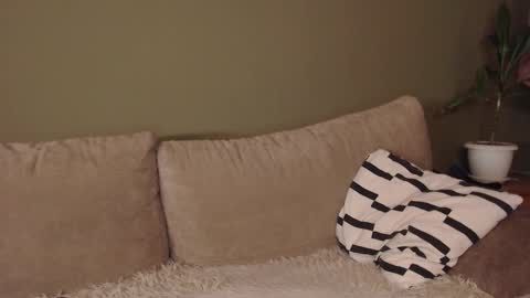 alisaxxxshy online show from 02.03.26