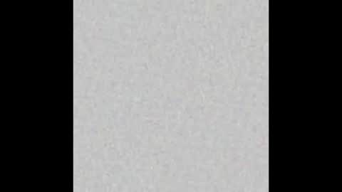 Alisse online show from 03.21.26