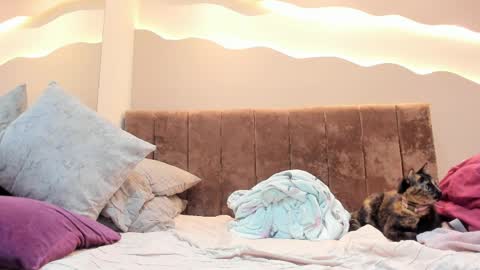 Alisson online show from 04.01.26