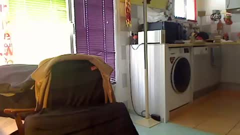 Sandwich online show from 01.18.26