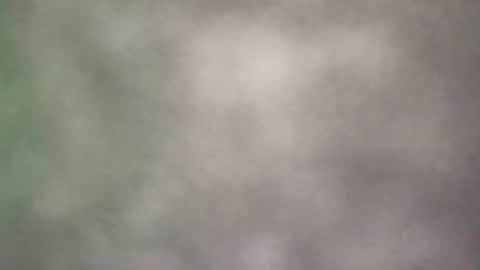 all_most_sane online show from 05.21.26