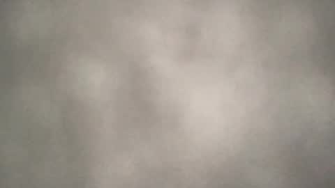 all_most_sane online show from 08.07.26