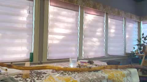 wishlist on bio online show from 10.25.25