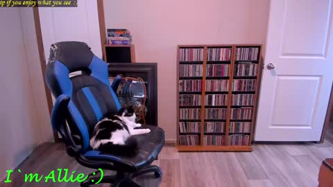 Allie online show from 12.29.24