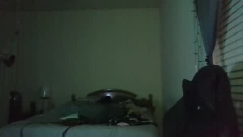 ally12334 online show from 04.03.26