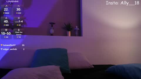 Ally  online show from 01.14.25