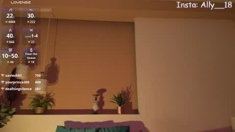 Ally  online show from 01.22.25