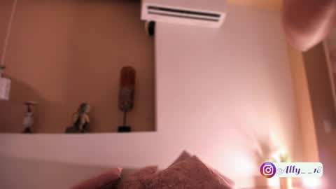 Snapshot of ally_addams chatting on 12.17.25 Ally online show from 12.17.25