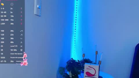 allymdo online show from 11.24.25